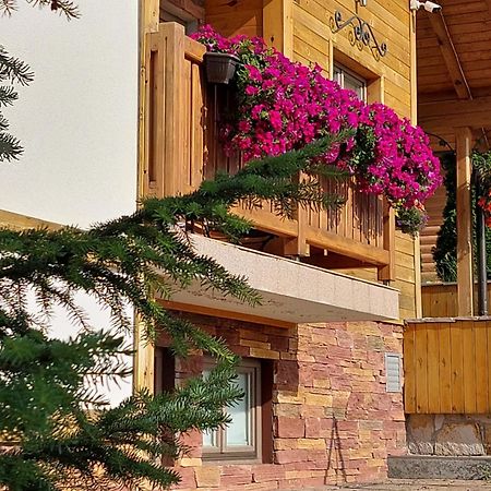 זלאטיבור Villa Natural Wood מראה חיצוני תמונה